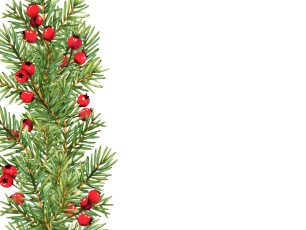 ilustrações, clipart, desenhos animados e ícones de moldura de galhos de árvores de natal decorados com bagas vermelhas. ilustração de aquarela de natal para decoração. modelo de cartões de saudação de ano novo de moldura de círculo de design de natureza - christmas tree branch