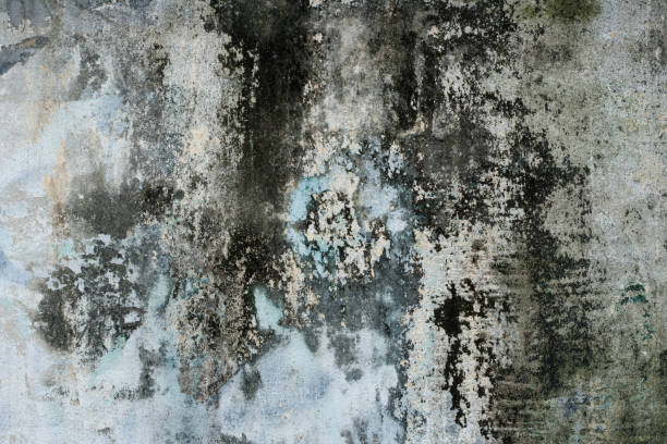 istock Grungy Colorful Dilapidated Concrete Wall 184116357
