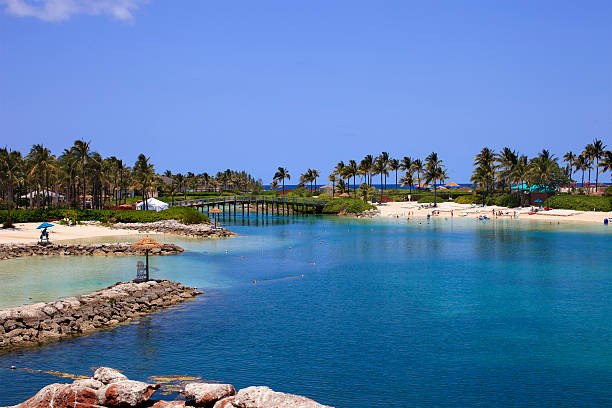 Bahamy beach widok – zdjęcie