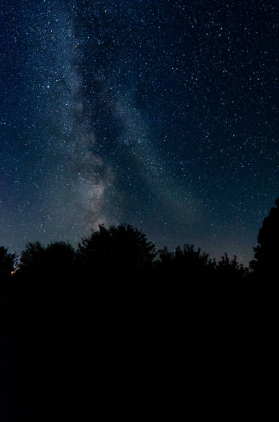 istock night sky on which the Milky Way with forest silhouette in background 1841173319