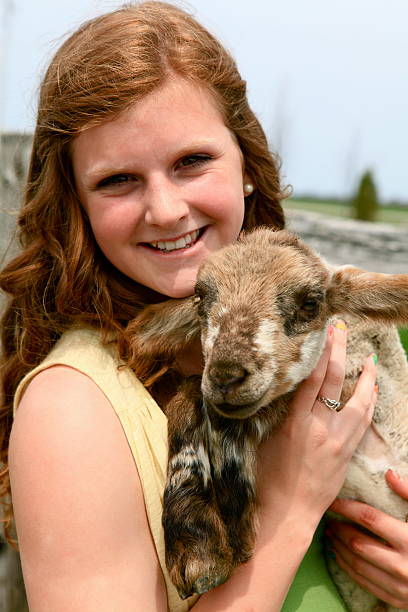 istock Happy Girl Holding Lamb 184117581
