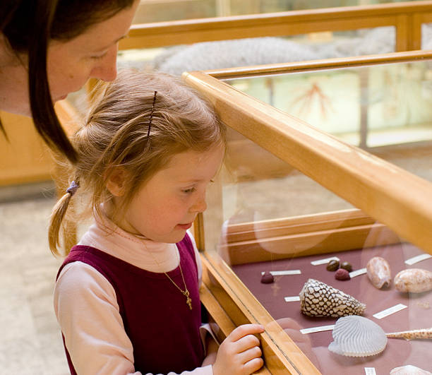 niña en museo - looking at view watching pointing showing fotografías e imágenes de stock