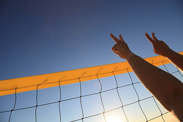 istock Hands performing the victory sign above a volleyball net 184117979