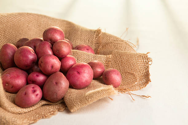 붉은 새로운 감자 - raw potato red potato red nutrient 뉴스 사진 이미지