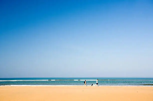 A couple walking a dog on a beach