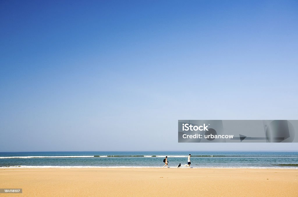 Andar com o cachorro - Foto de stock de Bude royalty-free