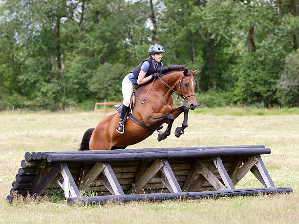 "This horse and rider are navigating a roll top jump obstacle on a 3-day eventing, cross country jump course. The jump is a Training Level jump and is 3 foot 3 inches (1 meter) in height.The horse is a thoroughbred mare."