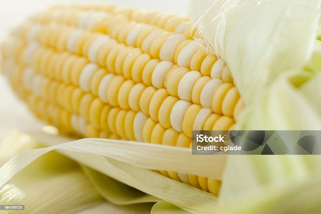 Épi de maïs - Photo de Agriculture libre de droits