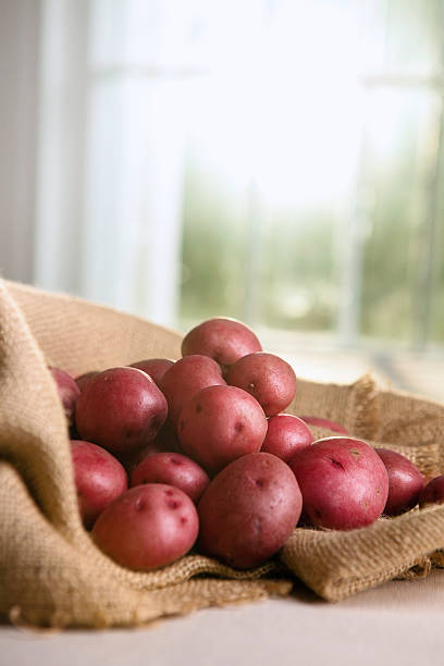 붉은 감자와 fesh 아기 - raw potato red potato red nutrient 뉴스 사진 이미지