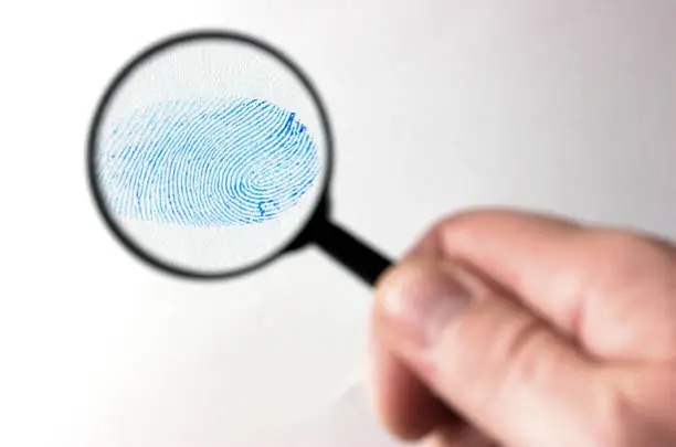A fingerprint examined under a magnifying glass