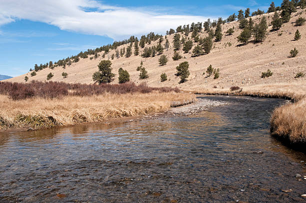 istock Trout Stream in Colorado Rockies 184119667