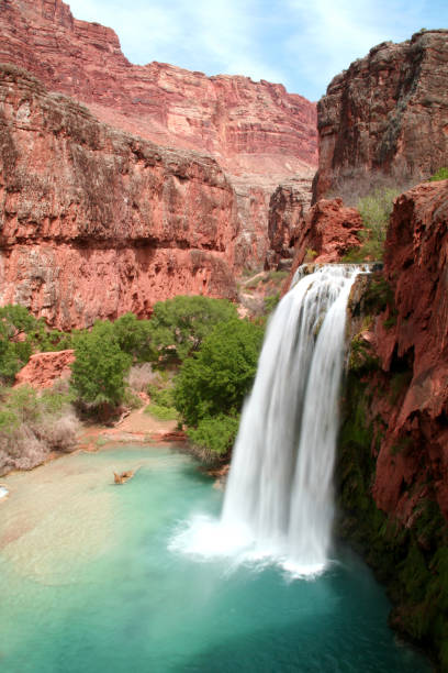 Havasu Falls in the Grand Canyon Beautiful Havasu Falls flowing into turquoise water in the Grand Canyon havasupai indian reservation stock pictures, royalty-free photos & images