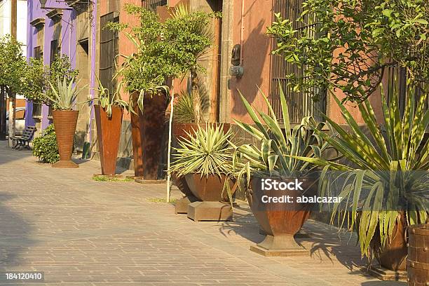 Tlaquepaque Stockfoto und mehr Bilder von Architektur - Architektur, Bildhintergrund, Blume