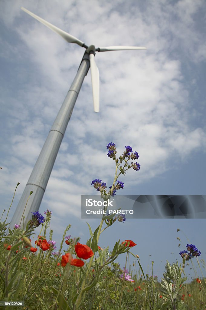 Windmühle und Blumen - Lizenzfrei Aufnahme von unten Stock-Foto