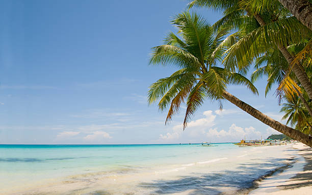 istock Perfect tropical island paradise beach 184120441