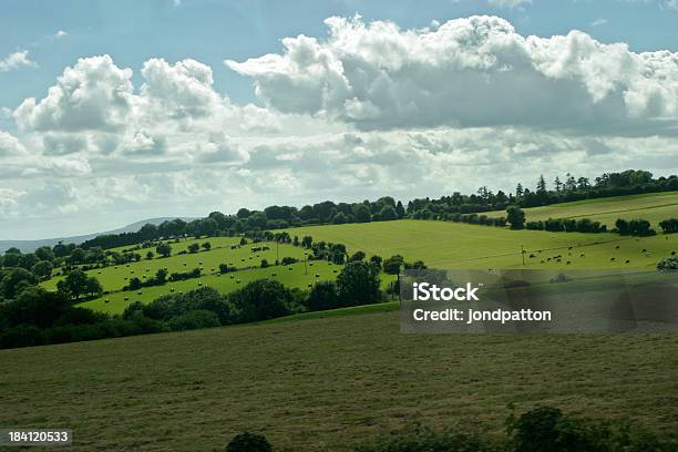 Farmland Foto de stock y más banco de imágenes de Agricultura - Agricultura, Aire libre, Campo - Tierra cultivada