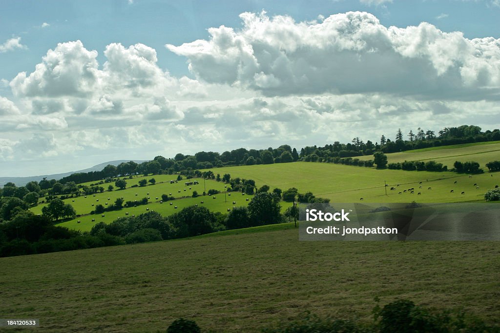 Farmland - Photo de Agriculture libre de droits