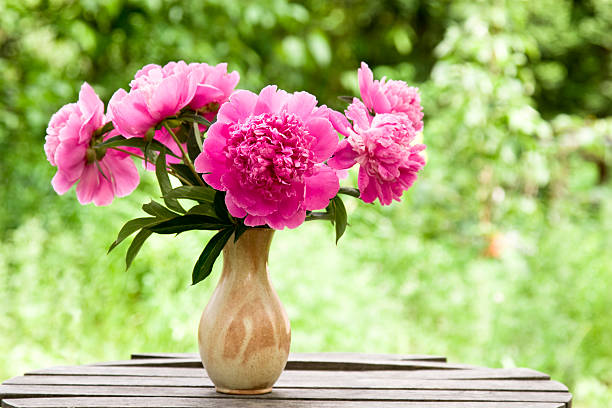 Pink Peonies in  vase on garden table stock photo