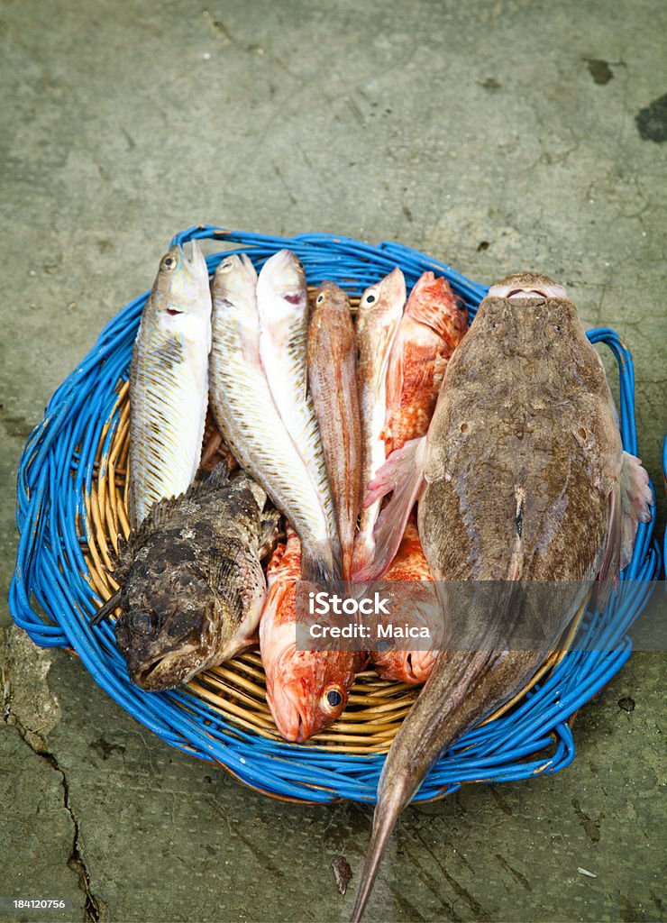 Fresh fish in a basket "Different kins of mediterranean sea fish: sea robin, scorpion fish, gurnard, star gazer." Basket Stock Photo