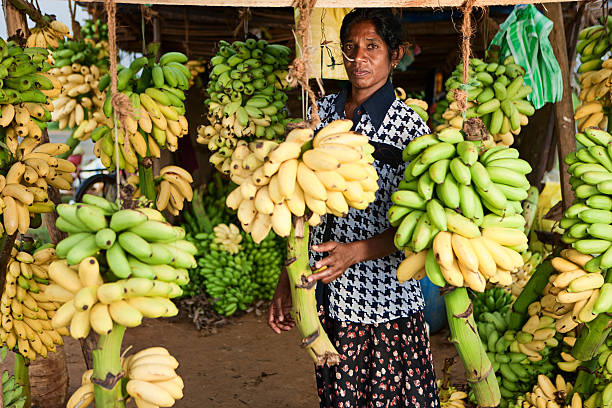 istock Banana seller. Sri Lanka 184120874