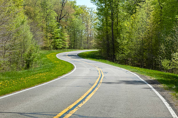 istock Winding Road Through a Forest in the Spring 184121082