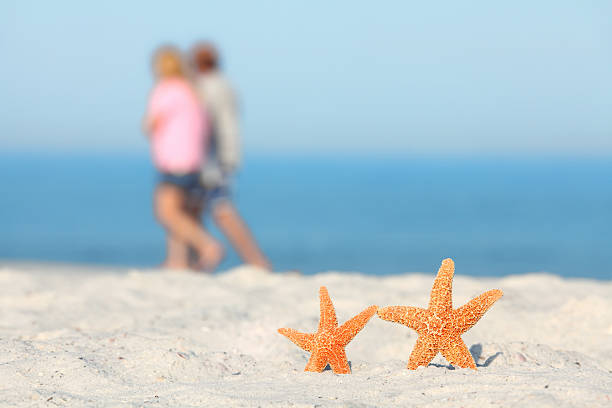 istock two starfish and couple on beach 184122690