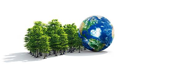 istock Earth In Healthy Forest 184122716