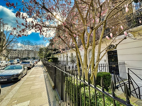 London, United Kingdom - March 07 2022: exclusive victorian buildings in Belgravia with Embassies and rich russian oligarchs residing