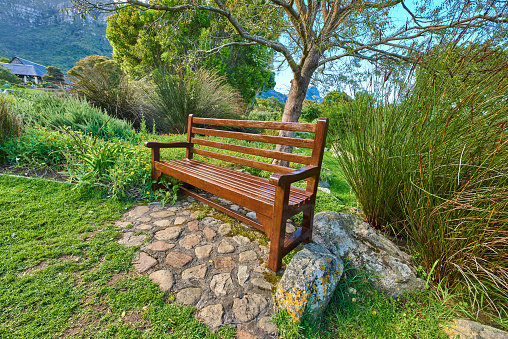 Flowers, plants and trees in Kirstenbosch Botanical Gardens in Cape Town, South Africa,