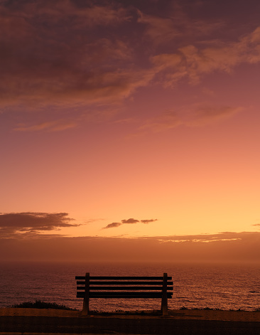 An empty bench at the park with green grass, trees and rocks in the blurred background as evening falls.