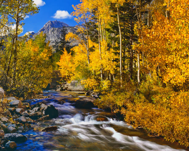 istock Autumn in California 184127583