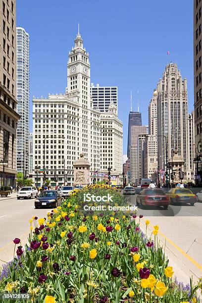 Chicago Illinois Stati Uniti - Fotografie stock e altre immagini di Chicago - Illinois - Chicago - Illinois, Tulipano, Wrigley Building