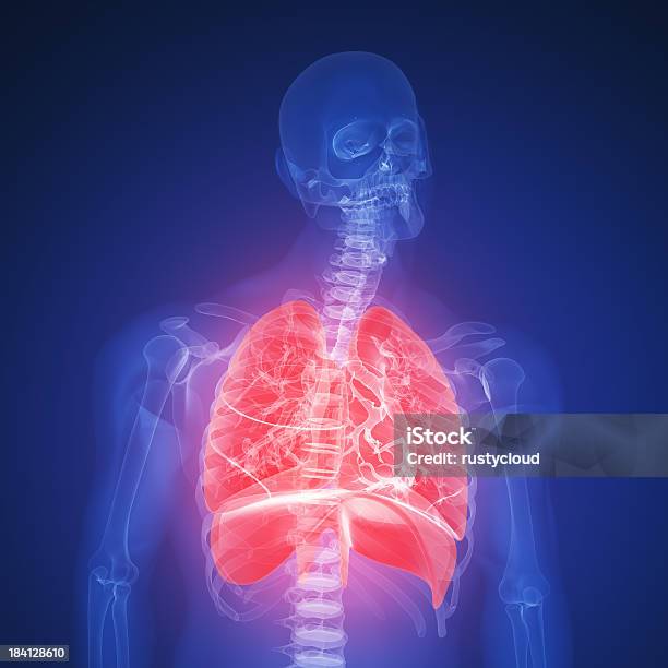 Lung Infection Stock Photo - Download Image Now - Anatomy, Beauty, Healthcare And Medicine