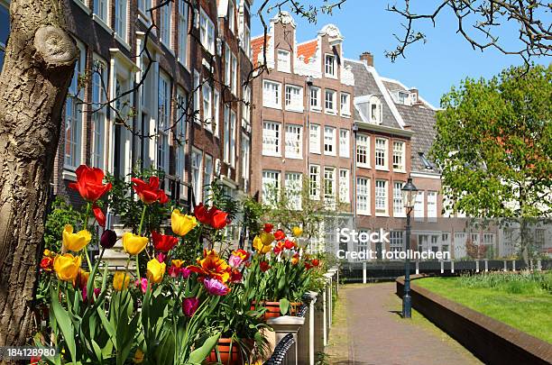 Niederländische Häuser In Amsterdam Stockfoto und mehr Bilder von Amsterdam - Amsterdam, Beneluxländer, Blume