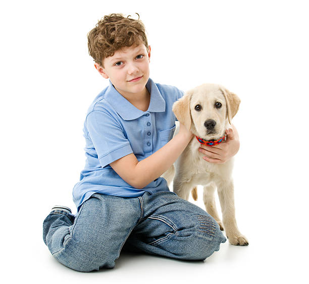 menino de oito anos wit seu cão - puppy young animal dog labrador retriever imagens e fotografias de stock