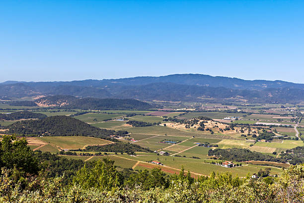 istock Napa Valley landscape from above 184129710