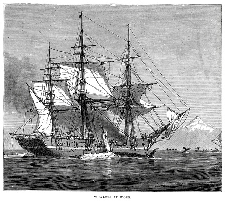 Vintage engraving from 1878 showing Whalers at Work