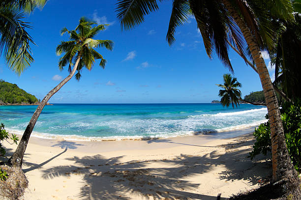 istock Takamaka beach on seychelles 184131236