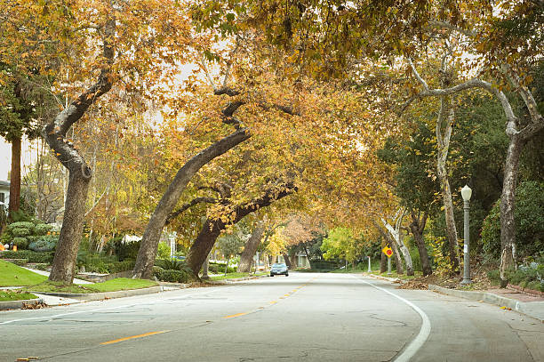 istock Suburban Street 184132348