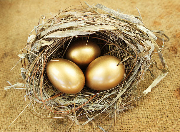 golden gniazdować jajko - animal egg golden animal nest nest egg zdjęcia i obrazy z banku zdjęć