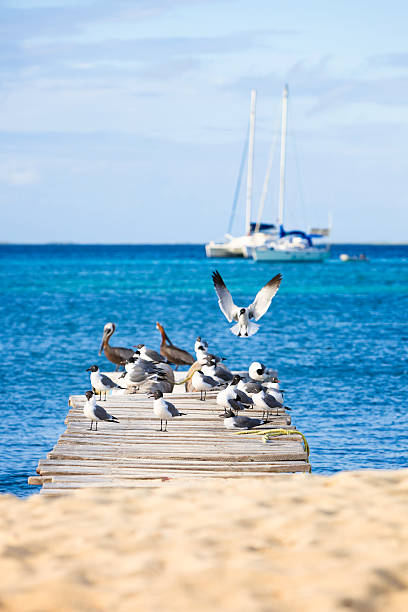 Puerto Progreso, Yucatan Mexico