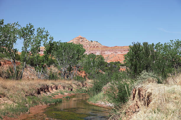 istock Palo Duro Canyon 184134190