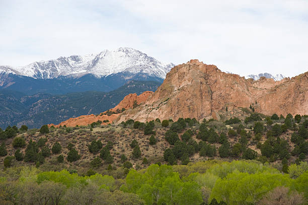istock Cathedral Rock and Pikes Peak in Spring 184134324