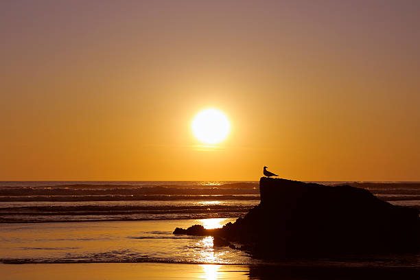 sonnenuntergang über dem atlantik - devon north devon sunset multi colored stock-fotos und bilder