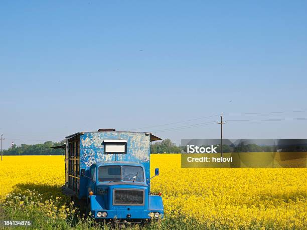 Foto de Brassica Napus L Canola E Queijo Beehive e mais fotos de stock de Abelha - Abelha, Agricultura, Amarelo