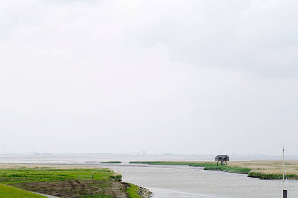 istock Dutch Landscape: Bird Watching Hut in Dollard Estuary 184135113