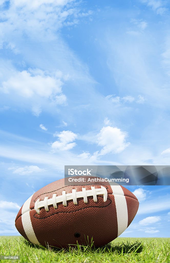 Cuir sur le terrain de football américain d'herbe avec un ciel bleu - Photo de Ballon de football américain libre de droits