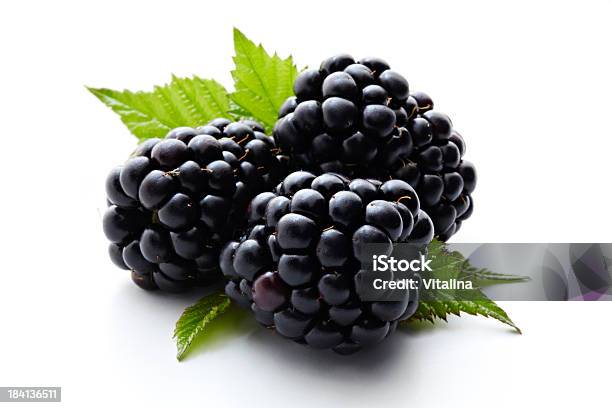 블랙베리 블랙베리에 대한 스톡 사진 및 기타 이미지 - 블랙베리, 흰색 배경, 과일