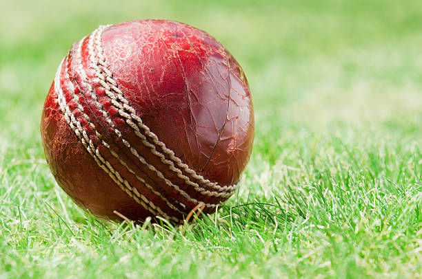 istock Red leather cricket ball lying on grass pitch with copyspace 184136678