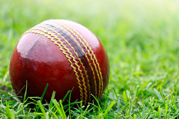 istock Close up of red cricket ball on short grass 184136746
